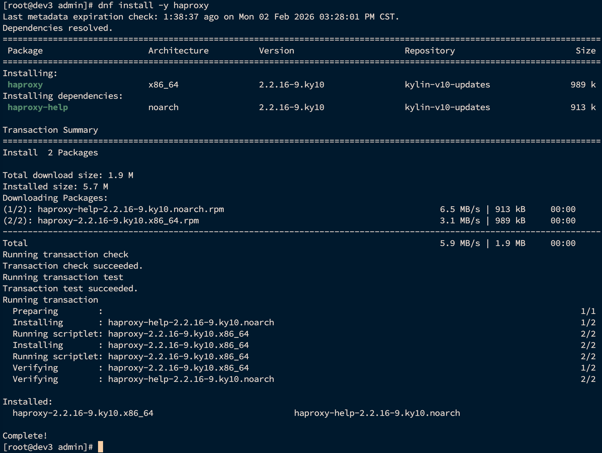 image-20260202170700382