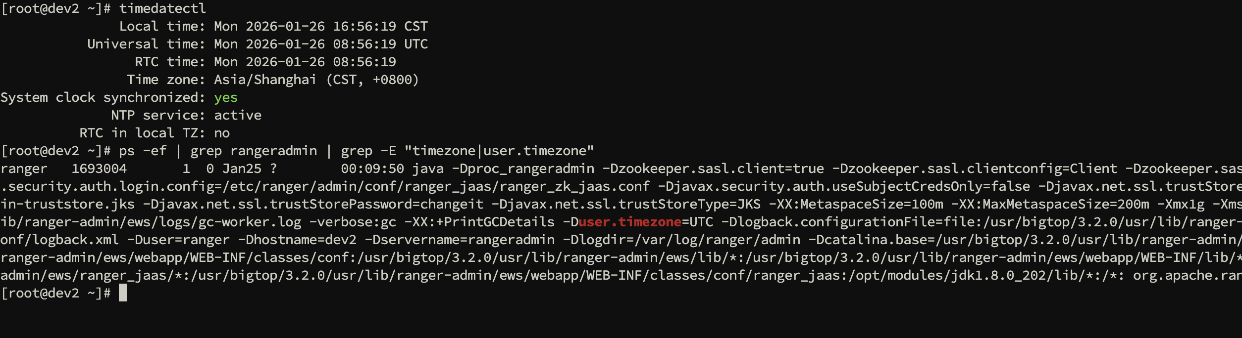 image-20260126165656310
