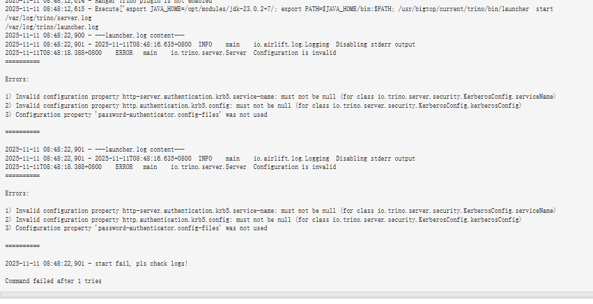 image-20251111093946411