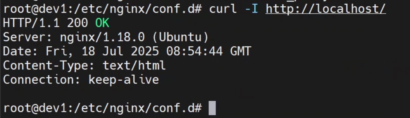image-20250718165520616