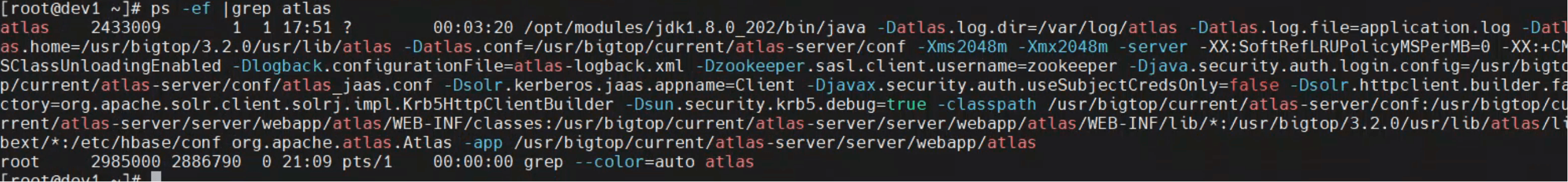image-20251108210957924