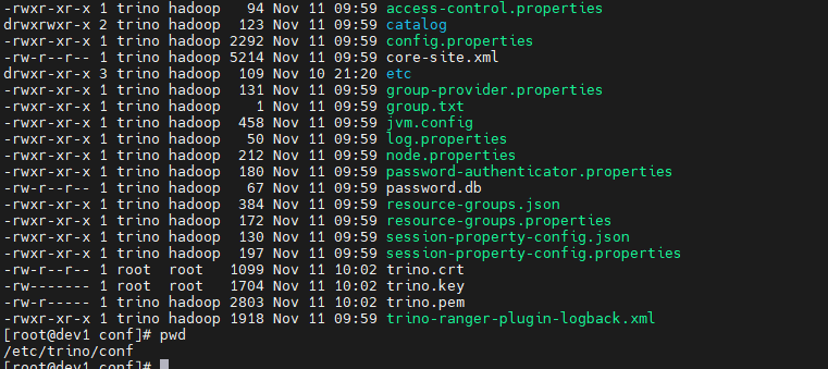 image-20251111100328105