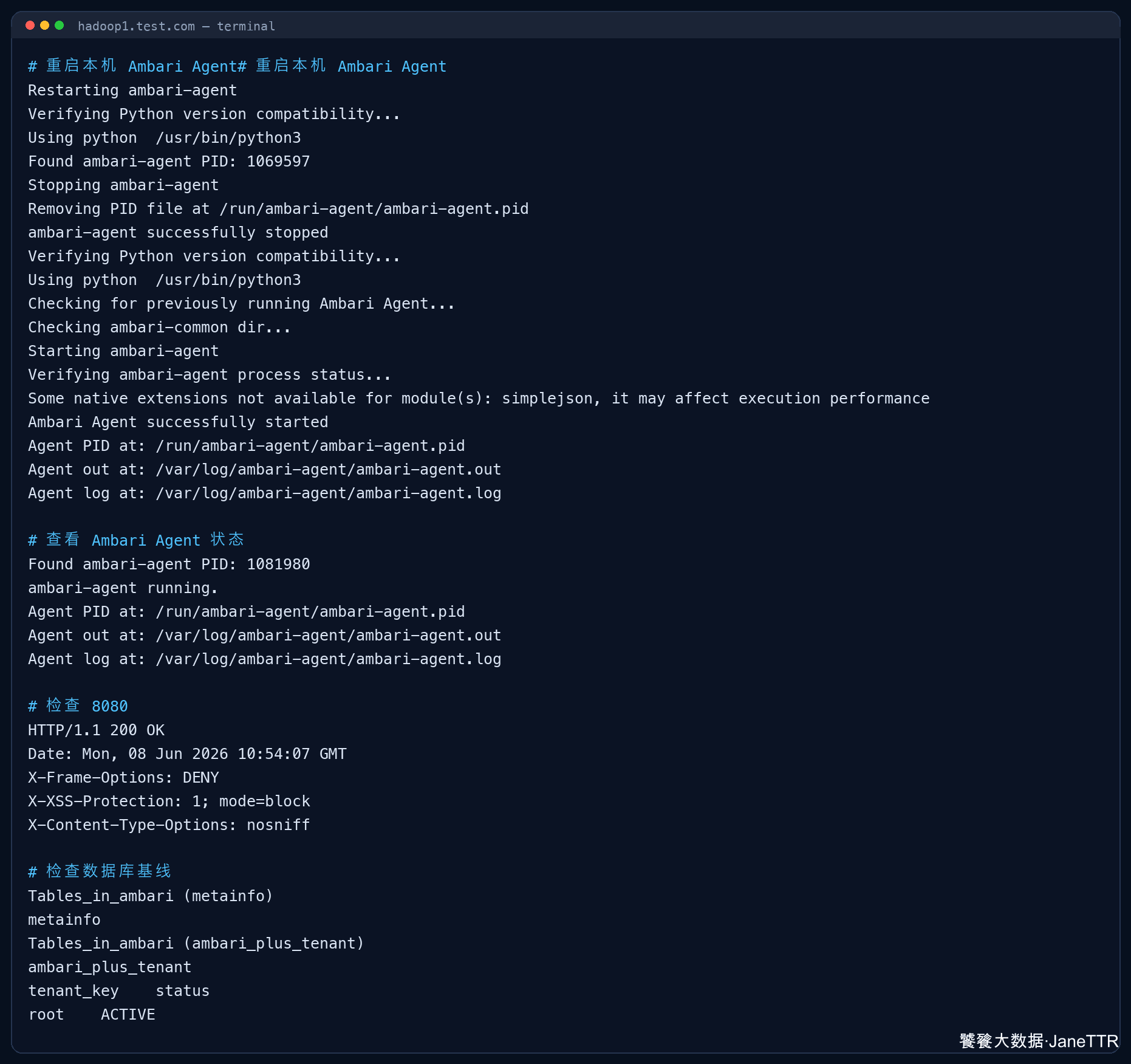 Ambari Plus Agent Web 数据库验证