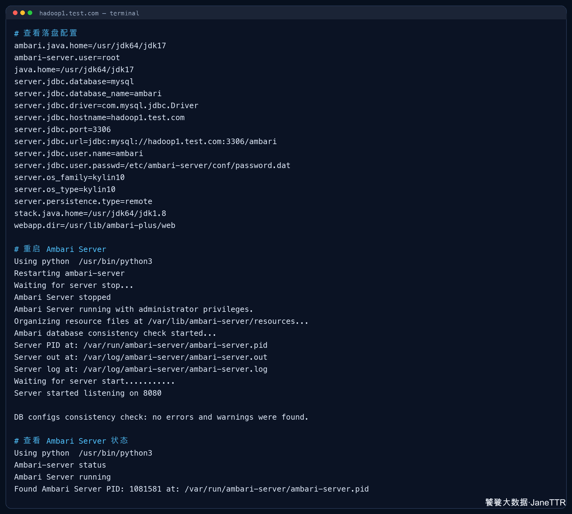 Ambari Plus Server 启动验证