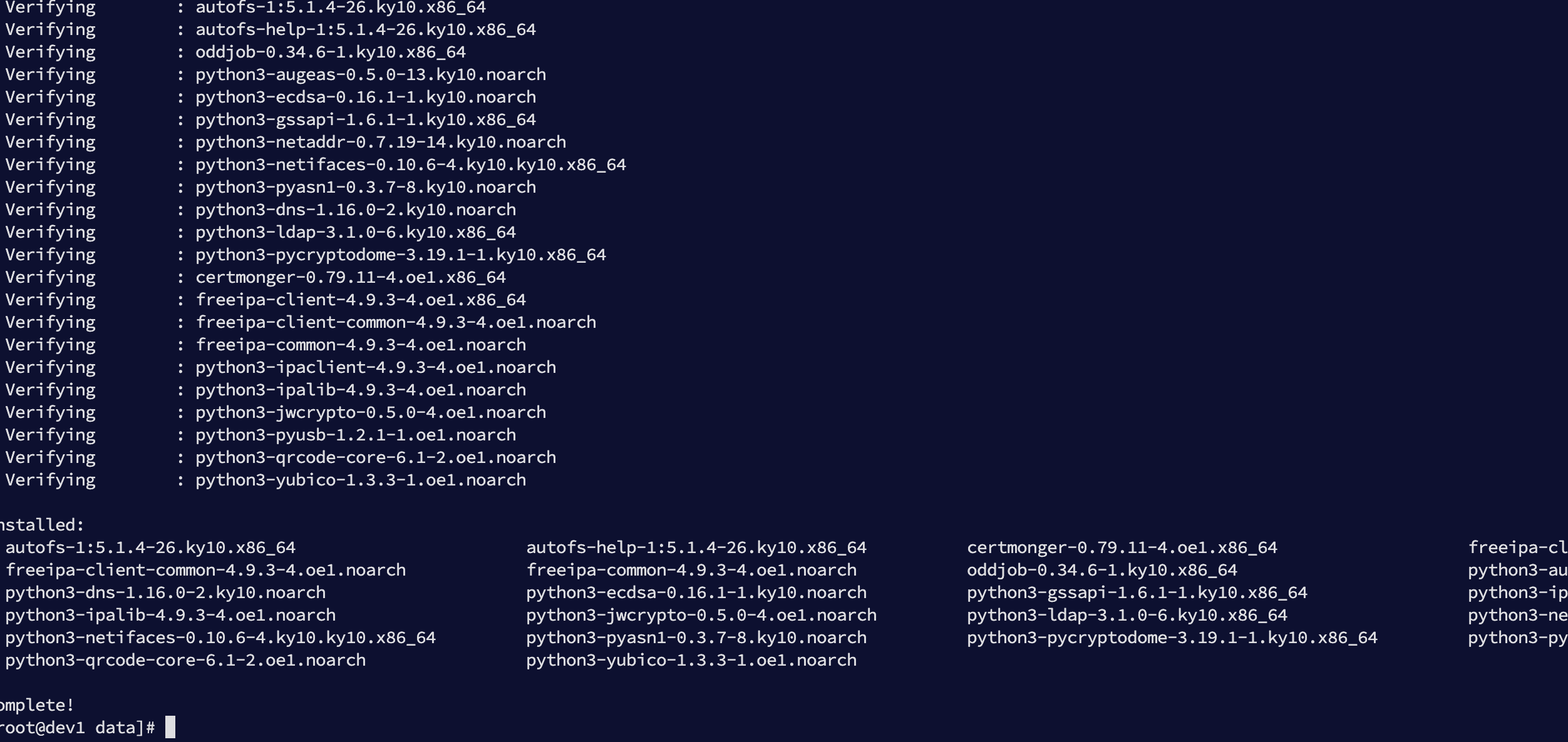 image-20260206130216117