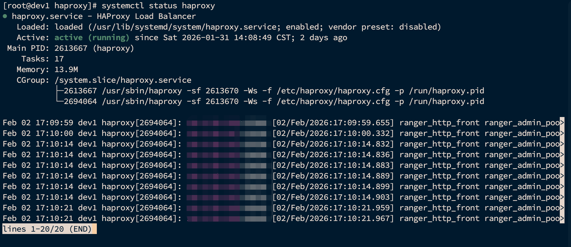 image-20260202171155620