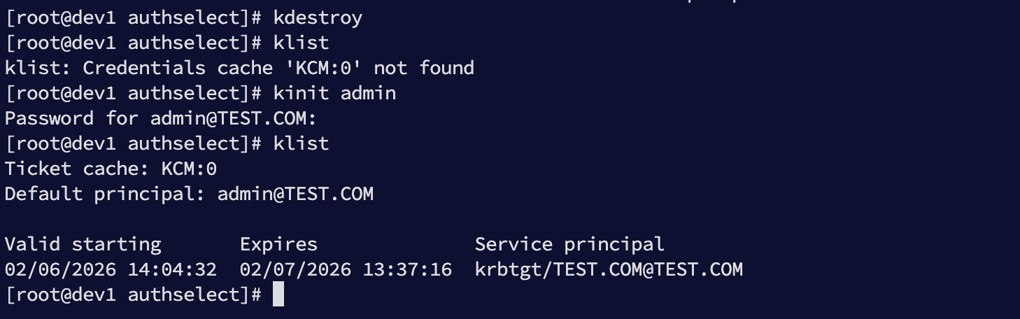 image-20260206140441335