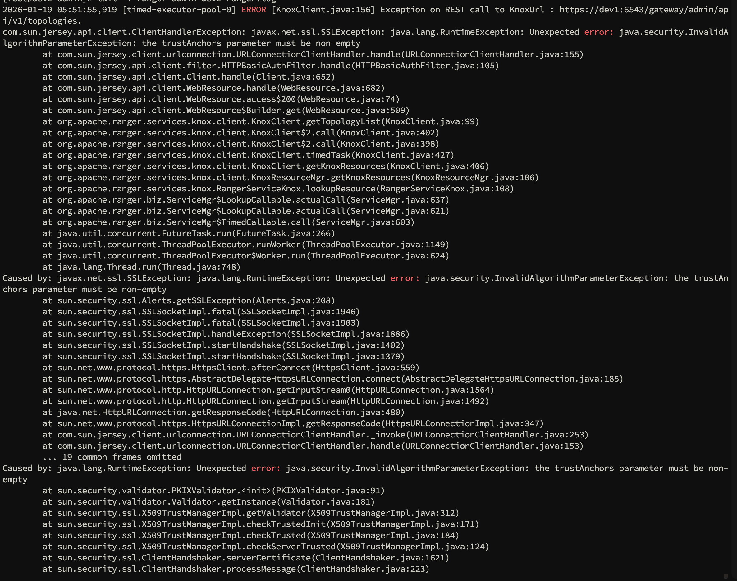 image-20260119135242284