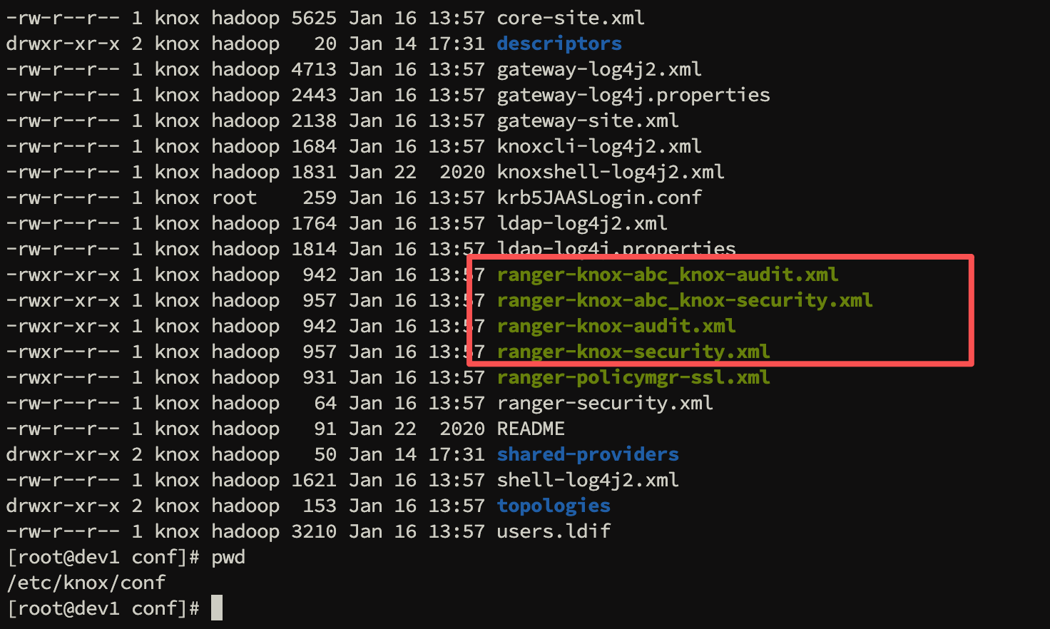 image-20260116135844757