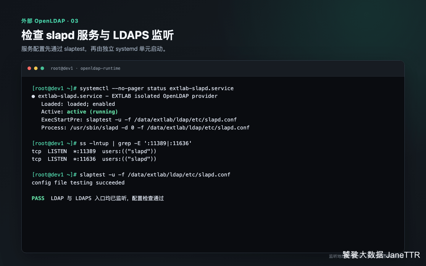OpenLDAP 服务和 LDAPS 监听状态