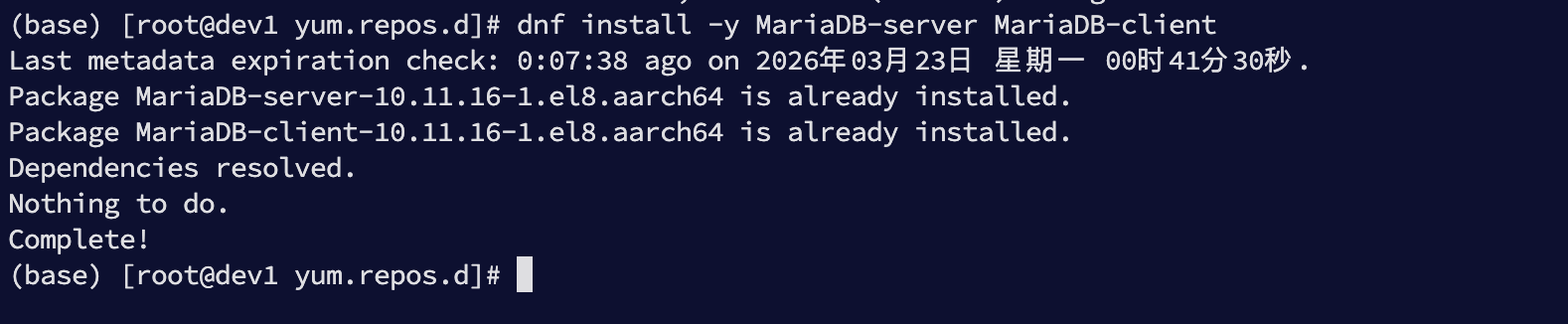 image-20260323004918876