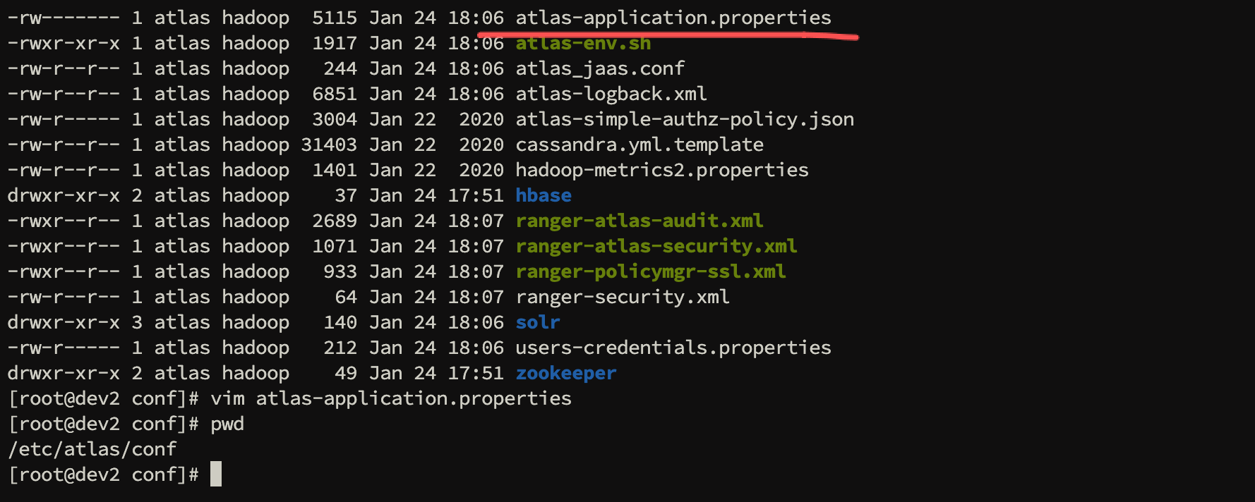 image-20260124182053087