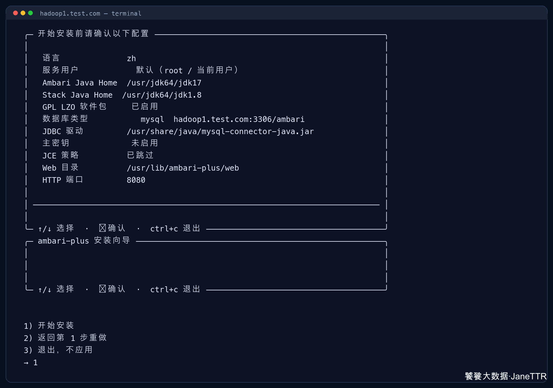 Step9-10.1 ambari-plus setup 确认配置