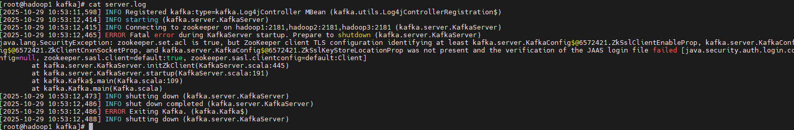 image-20251029105503817