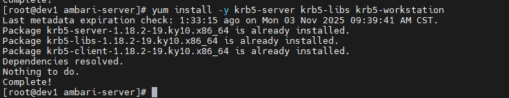 image-20251103111310504