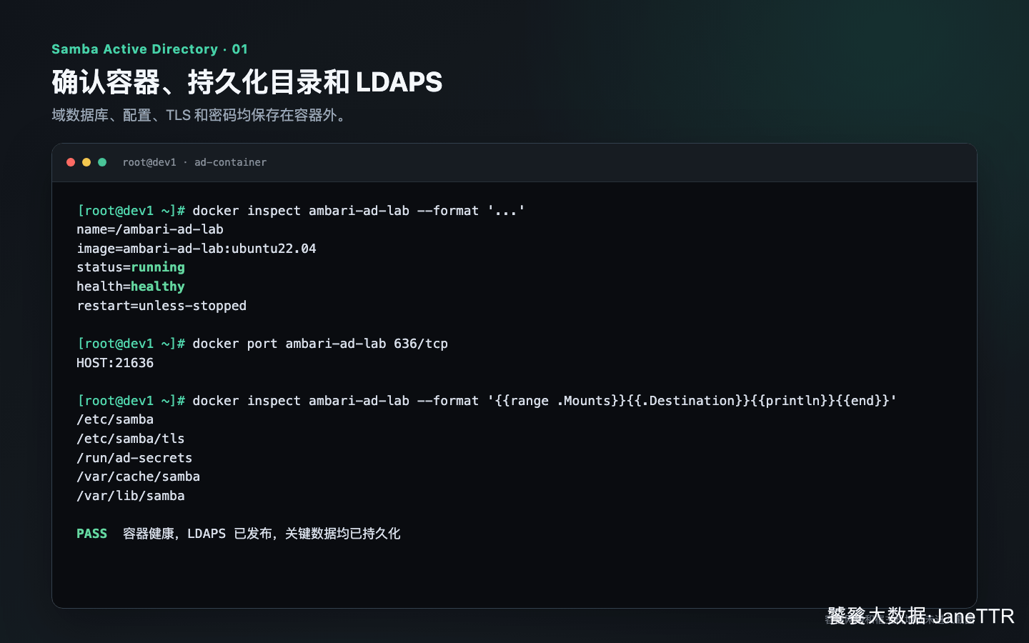 Samba AD 容器、持久化目录和 LDAPS