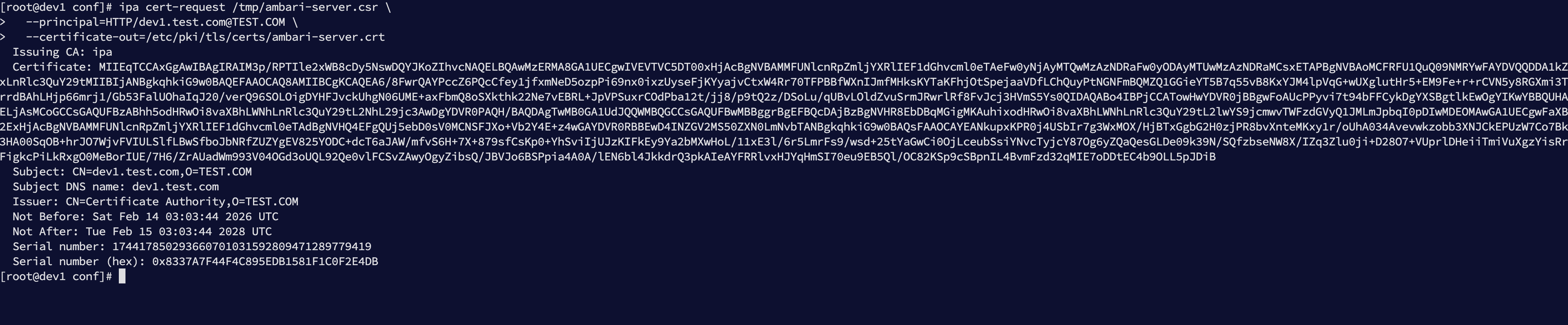 image-20260214110402143