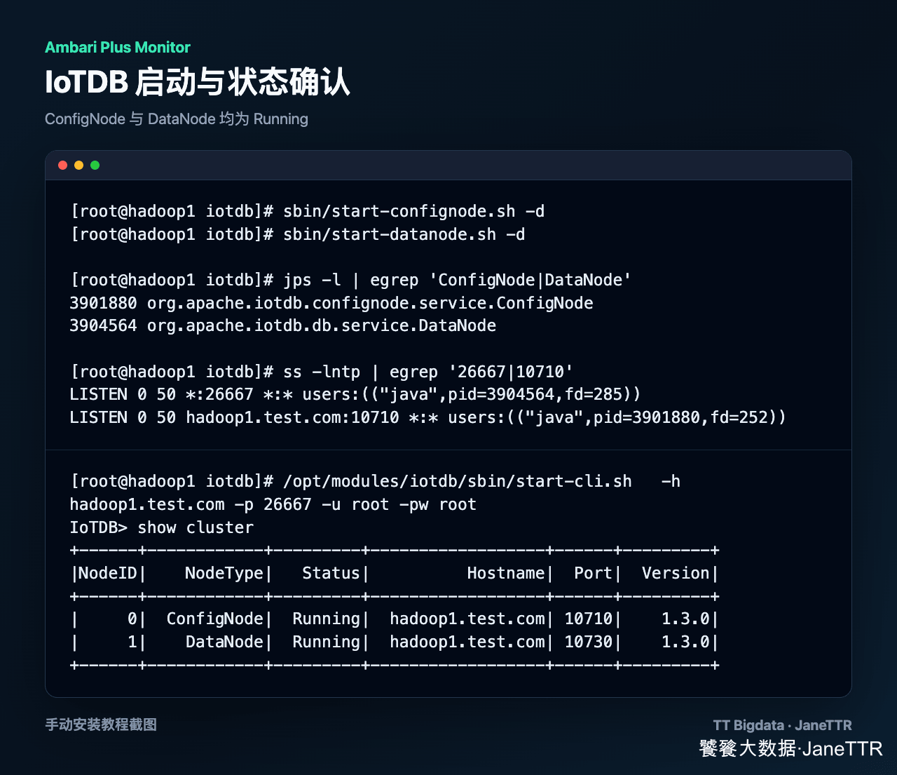 IoTDB 启动与状态确认